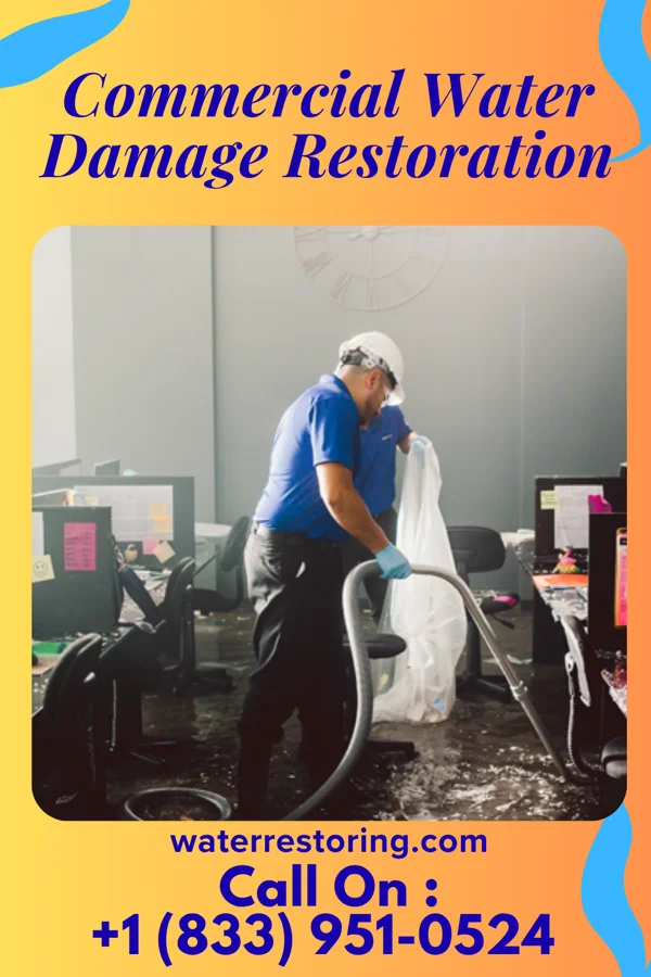 Commercial Water Damage Restoration in Churchill, PA