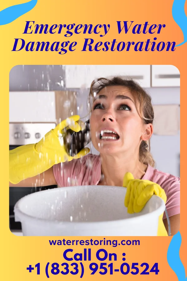 Emergency Water Damage Restoration in Churchill, PA