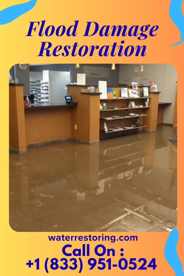 Flood Damage Restoration in Churchill, PA