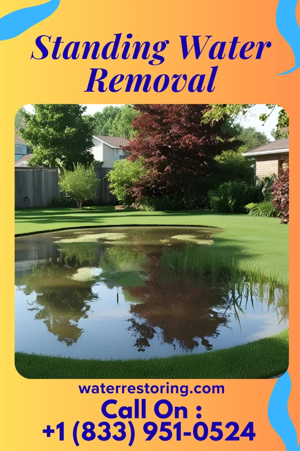 Standing Water Removal in Churchill, PA